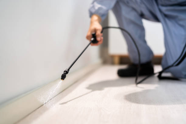 Professional exterminator conducting IPM assessment in Jena